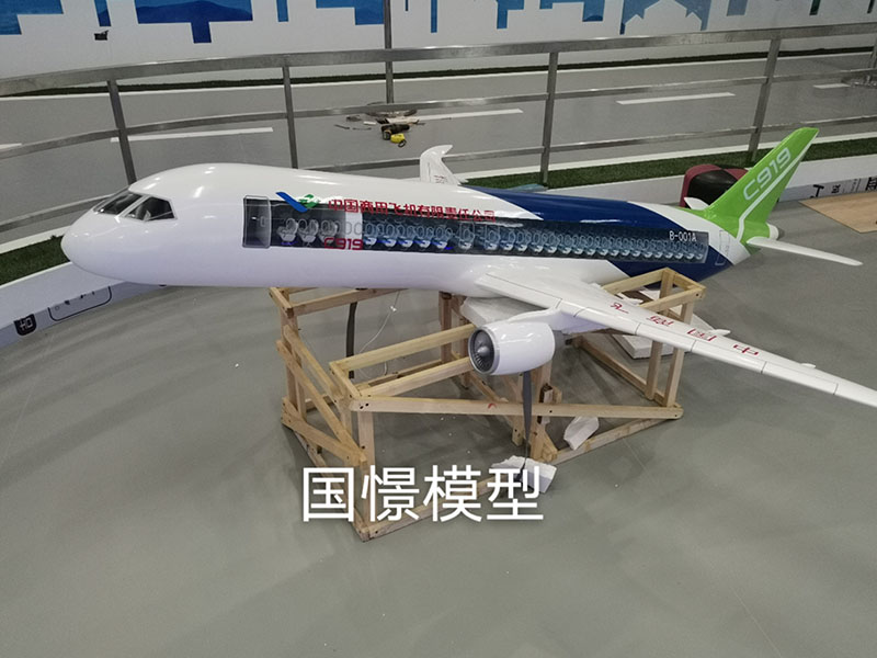 菏泽飞机模型